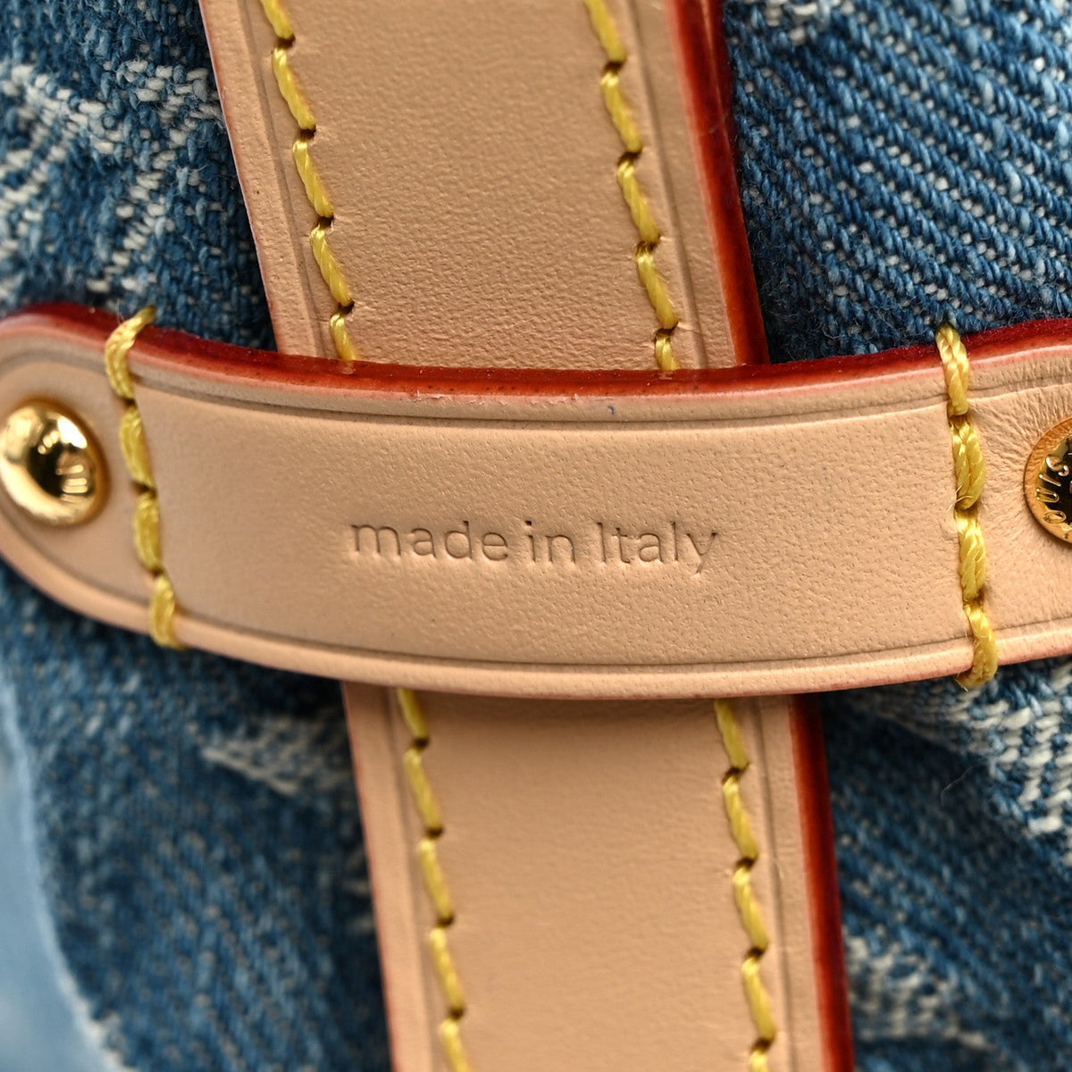 Monogram Denim CarryAll MM Blue